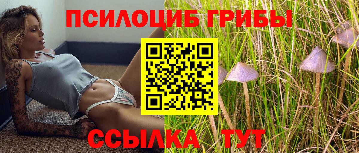 Галлюциногенные грибы MAGIC MUSHROOMS Кинель